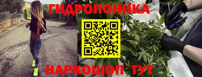 стаф Сланцы