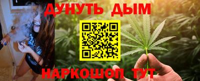 стаф Сланцы