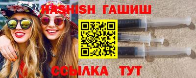 стаф Сланцы