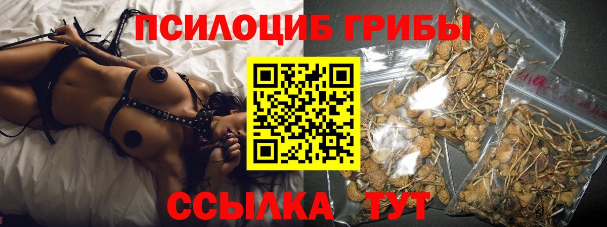 как найти наркотики  Вход с VPN  Орск  Псилоцибиновые грибы Psilocybine cubensis 